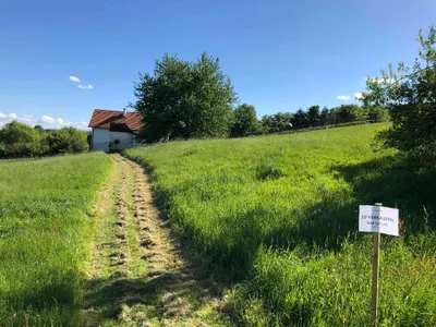 Immobilie kaufen in Güssing – 4 301 m², € 49.900 – Bild 5 von 5