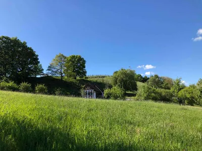 Immobilie kaufen in Güssing – 4 301 m², € 49.900 – Bild 3 von 5