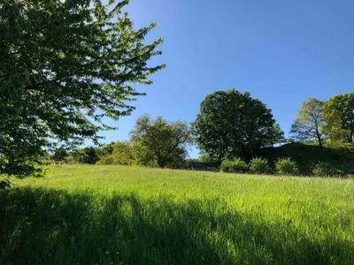 Immobilie kaufen in Güssing – 4 301 m², € 49.900 – Bild 2 von 5