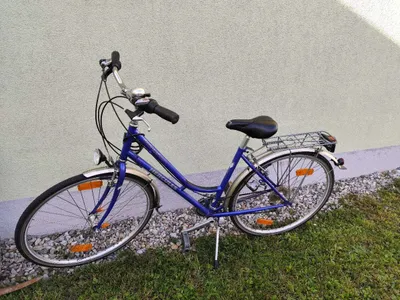 mvelo solar ladegerät für e bike akkus SunLight – Solarride FISCHER Trinkflaschenhalter Kunststoff mit dyu d1f Farbe:BXT Schwarz Hochglanz