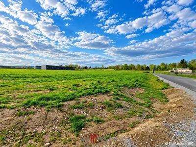 Immobilie kaufen in Leibnitz – 15 000 m² – Bild 4 von 6