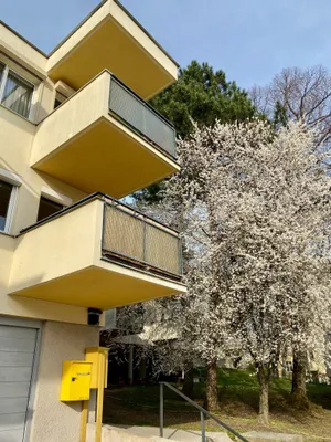 2-Zimmer-Wohnung mieten in Wien – 54,48 m², € 1.200 – Bild 12 von 14