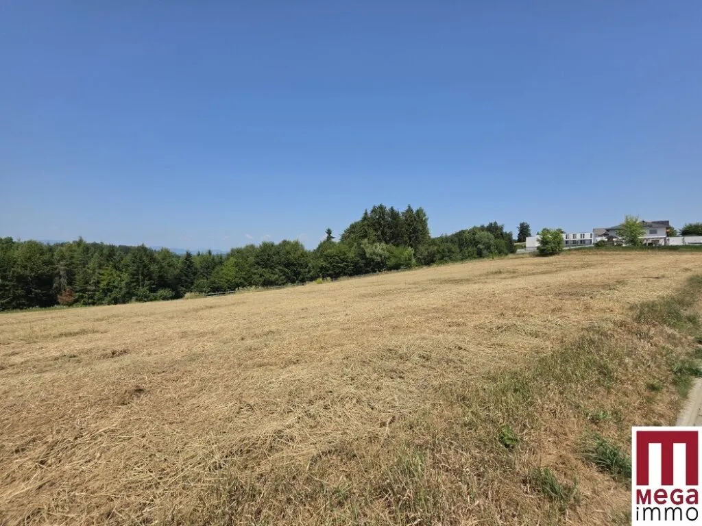 Sonniges Baugrundstück in naturnaher Lage - Ihr Platz für das Eigenheim - Ansicht 3