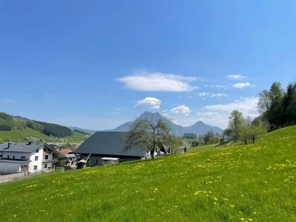 Baugrundstück in Altmünster - 1.477 m², aufgeschlossen, mit Kleinwohnhaus und Potenzial für bis zu 3 Wohneinheiten - Ansicht 2