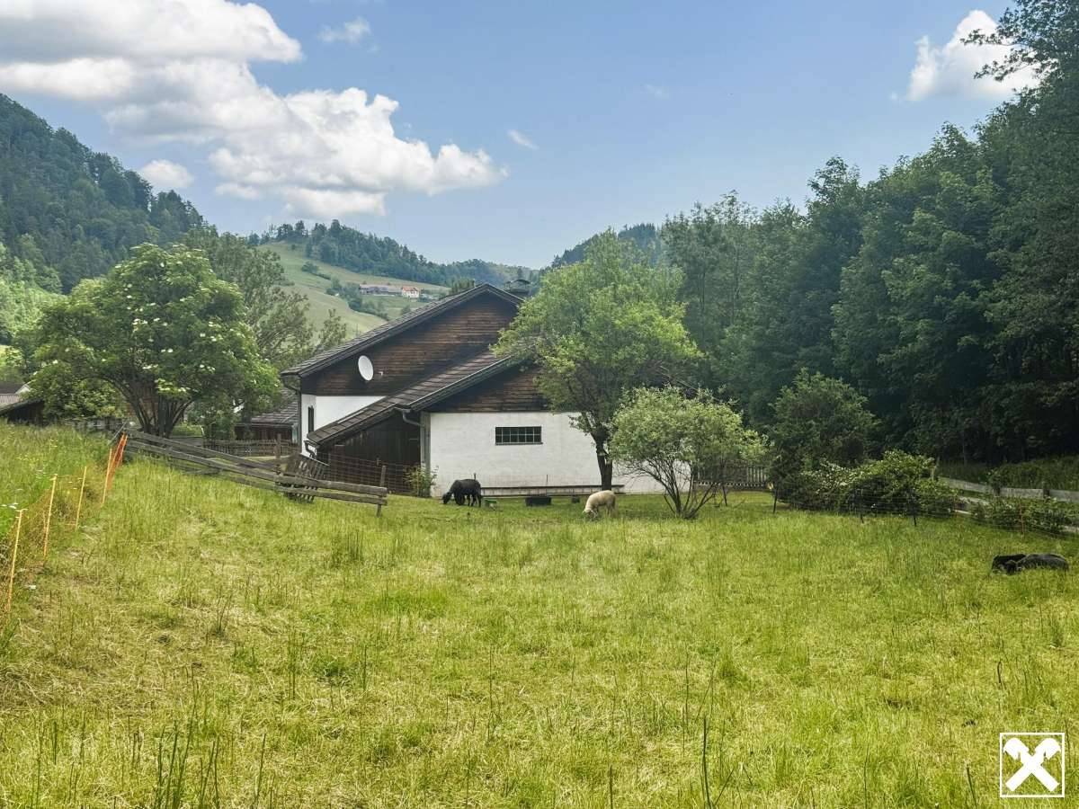 Einmaliges Ambiente am Fuße des Schneebergs - Ansicht 2