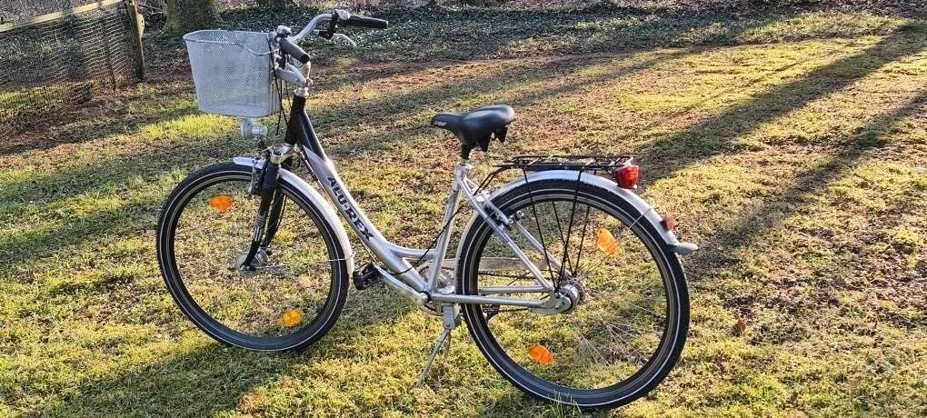 e fahrrad 150 kg 2025 Fafrees 700W Bike für Erwachsene Akku 36V 10AH [ Offiziell ] Ebike Damen 250W, Elektrofahrrad Herren 25km/h, Elektrisch 100KM, Mountainbike MTB 150kg, Pedelec 700*42C, E Citybike 40N.m Accessories:Standard Gebrauchte Damenfahrräder kaufen in Our Tech