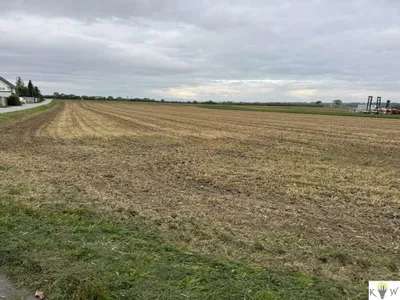 Grundstück kaufen in Bruck an der Leitha – 13 512 m² – Bild 3 von 5