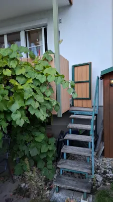 Wohnung mieten in Lilienfeld – 78 m², € 550 – Bild 20 von 21