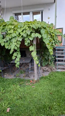 Wohnung mieten in Lilienfeld – 78 m², € 550 – Bild 21 von 21