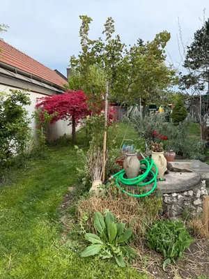 8-Zimmer-Gewerbeimmobilie kaufen in Tulln – 260 m², € 585.000 – Bild 29 von 40
