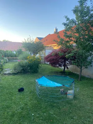 8-Zimmer-Gewerbeimmobilie kaufen in Tulln – 260 m², € 585.000 – Bild 17 von 40