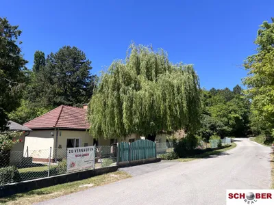 Grundstück kaufen in Baden – 2 061 m², € 490.000 – Bild 9 von 13