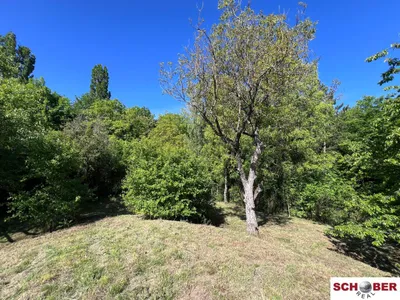Grundstück kaufen in Baden – 2 061 m², € 490.000 – Bild 2 von 13