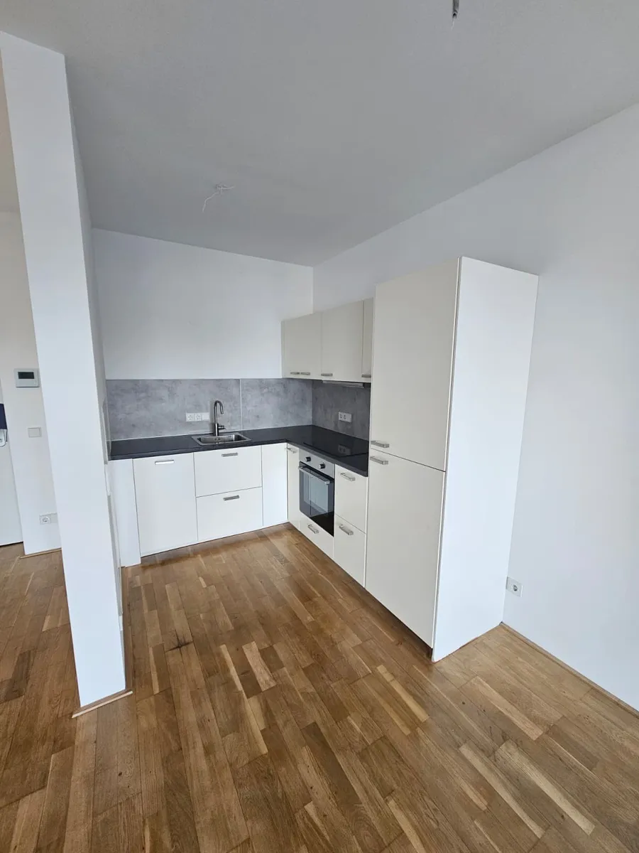 Wohnung – Linz, Volksgartenviertel, Innere Stadt - Ansicht 3