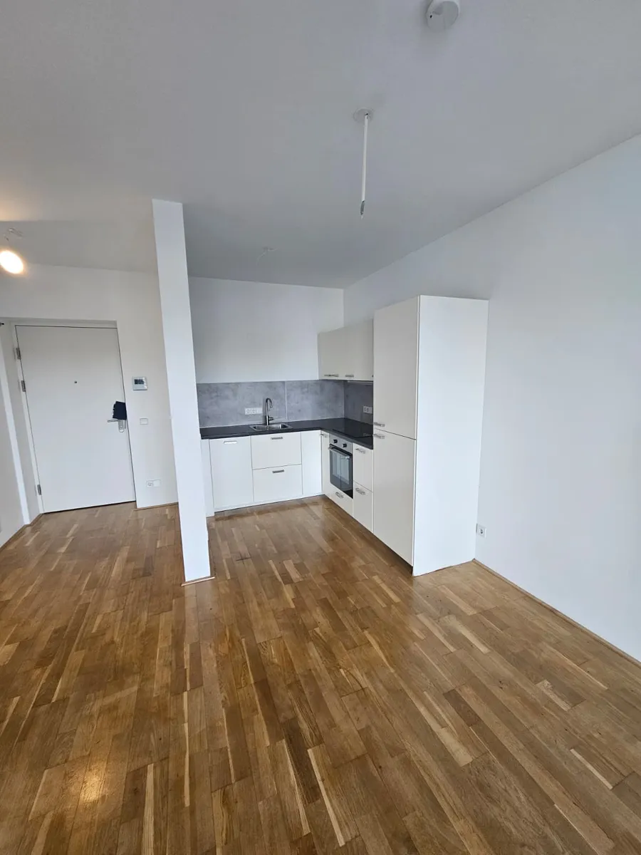 Wohnung – Linz, Volksgartenviertel, Innere Stadt - Ansicht 2
