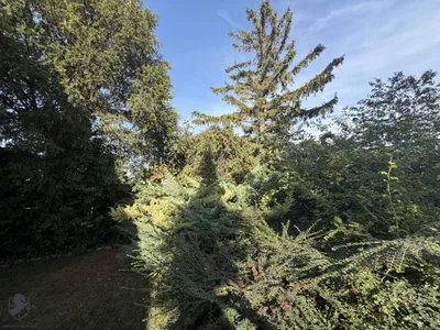 4-Zimmer-Haus kaufen in Bruck an der Leitha – 119 m², € 649.000 – Bild 35 von 52