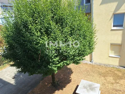2-Zimmer-Wohnung mieten in Wels – 74,31 m², € 897 – Bild 13 von 18