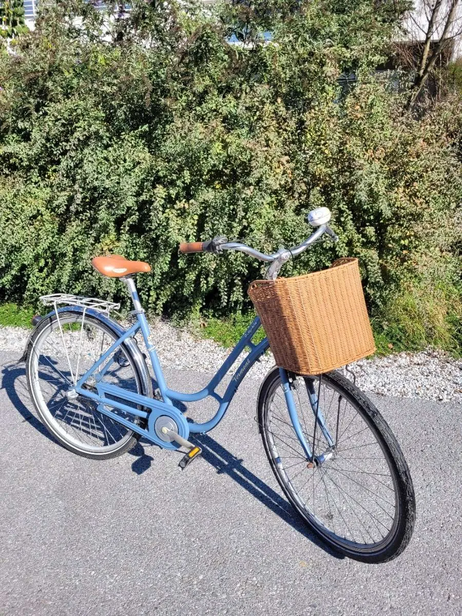 fahrrad dreirad kaufen 26