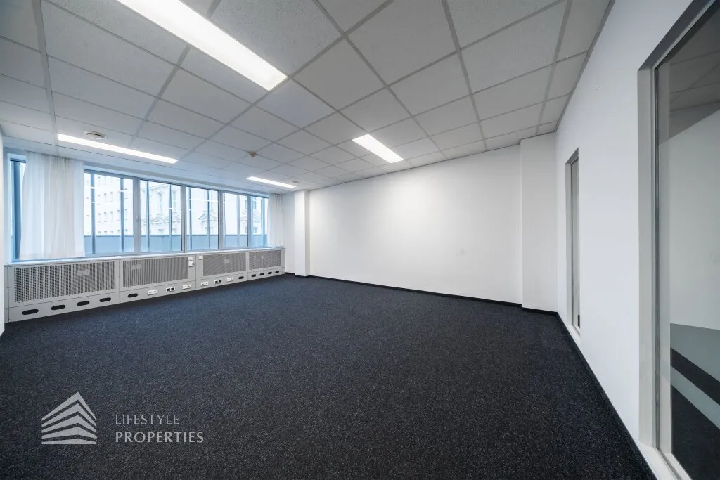 Modernes 6-Zimmer Büro mit Terrasse! Nähe Schwarzenbergplatz - Ansicht 3