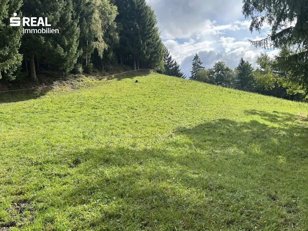 Ihr Bauplatz im Grünen! Grundstück in St. Martin am Grimming West - Görünüm 2