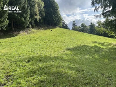 Grundstück kaufen in Liezen – 1 086 m², € 153.000 – Bild 2 von 4