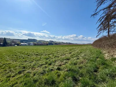 Grundstück kaufen in Grieskirchen – 6 691 m² – Bild 8 von 11