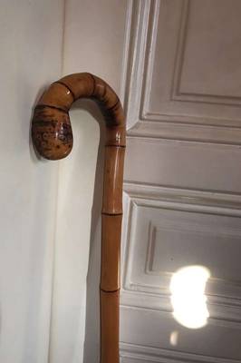 Antiker Spazierstock/ Gehstock aus Bambus mit Hornspitze, Vintage,  35,-  (1050 Wien) - willhaben