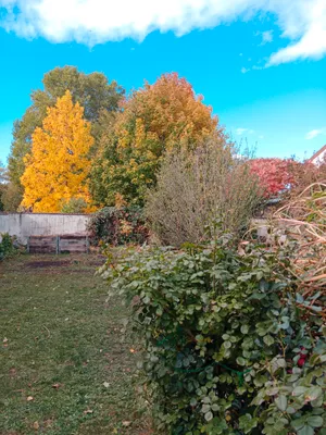 4-Zimmer-Wohnung mieten in Neunkirchen – 55 m², € 550 – Bild 10 von 10