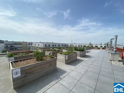 3-Zimmer-Wohnung mieten in Tulln – 70,67 m², € 995 – Bild 8 von 10