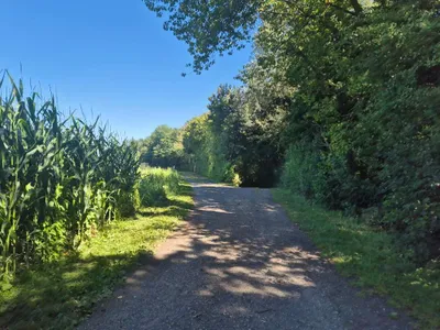 3-Zimmer-Wohnung mieten in Südoststeiermark – 59 m², € 740 – Bild 9 von 9