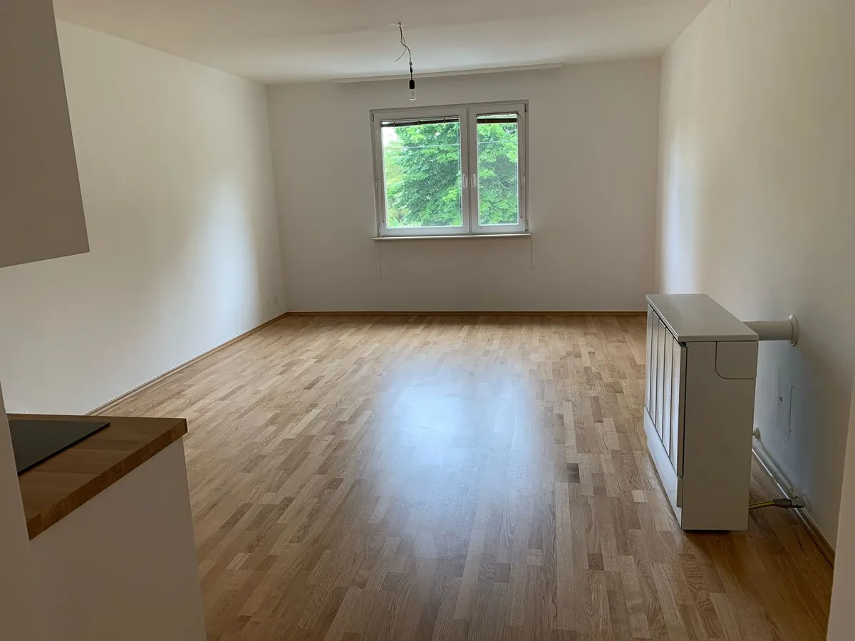 Ein Zimmer Wohnung, provisionsfrei, Warm-Miete - Ansicht 2