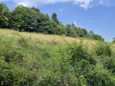 Gewerbeimmobilie kaufen in Deutschlandsberg – 8 697 m², € 869.000 – Bild 7 von 13