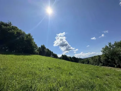 Gewerbeimmobilie kaufen in Deutschlandsberg – 8 697 m², € 869.000 – Bild 5 von 13