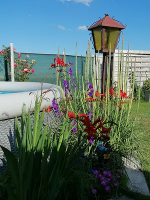5-Zimmer-Haus kaufen in Wiener Neustadt Land – 35 m², € 135.000 – Bild 8 von 15