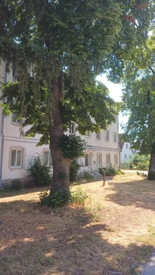 2-Zimmer-Wohnung mieten in Bruck an der Leitha – 50 m², € 539 – Bild 15 von 15