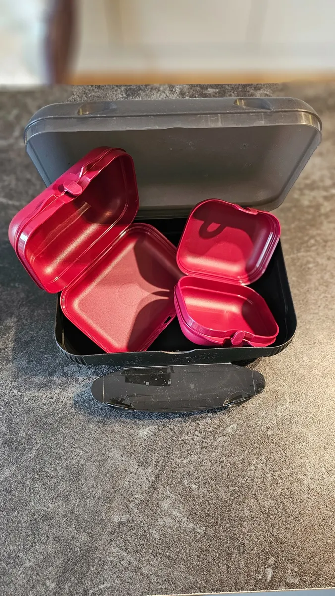 plastikkiste mit deckel Aufbewahrungskiste Zirben