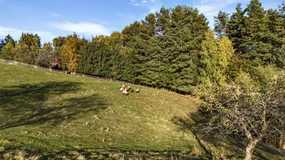 Haus kaufen in Deutschlandsberg – 576,33 m², € 3.600.000 – Bild 46 von 78