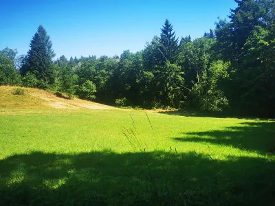 Grundstück kaufen in Klagenfurt Land – 6 136 m², € 245.000 – Bild 3 von 4