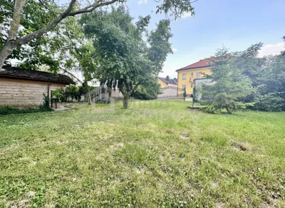 9-Zimmer-Haus kaufen in Gänserndorf – 370 m², € 535.000 – Bild 3 von 17
