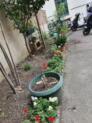 Wohnung kaufen in Wien – 59,24 m², € 180.000 – Bild 10 von 10