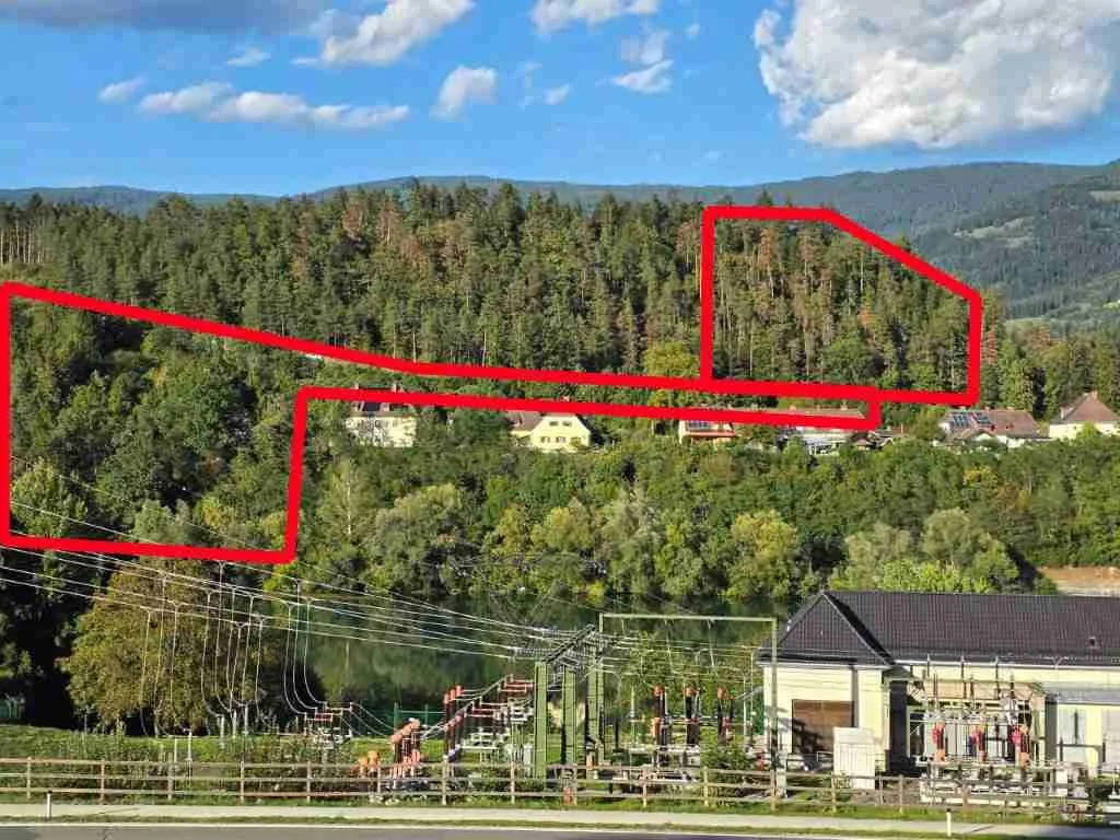2 Waldstücke auf der Watzing stehen zum Verkauf!