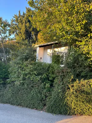 5-Zimmer-Haus mieten in Urfahr-Umgebung – 50 m², € 500 – Bild 2 von 15