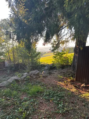 5-Zimmer-Haus mieten in Urfahr-Umgebung – 50 m², € 500 – Bild 13 von 15