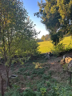 5-Zimmer-Haus mieten in Urfahr-Umgebung – 50 m², € 500 – Bild 14 von 15
