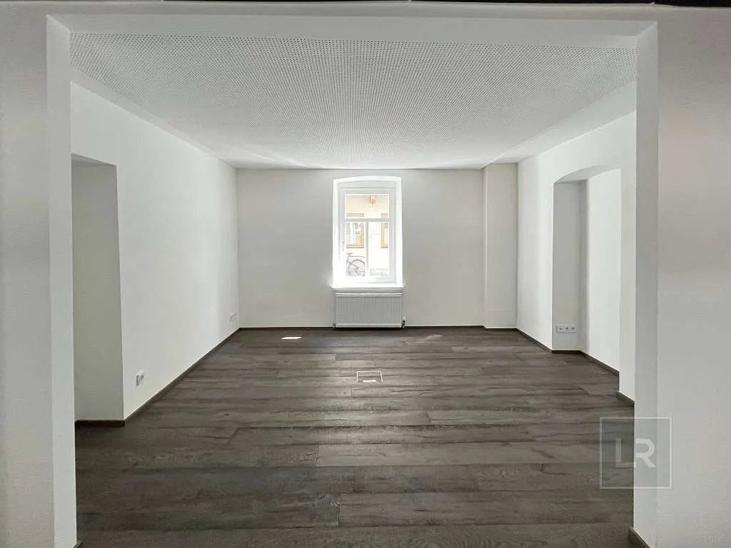 BÜRO/ PRAXIS/ EINHEIT FÜR KURZZEITVERMIETUNG IN JAHRHUNDERTWENDE JUWEL - Ansicht 2