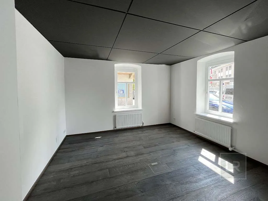 BÜRO/ PRAXIS/ EINHEIT FÜR KURZZEITVERMIETUNG IN JAHRHUNDERTWENDE JUWEL - Ansicht 3