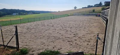 Grundstück kaufen in Güssing – 630 m², € 395.000 – Bild 8 von 14