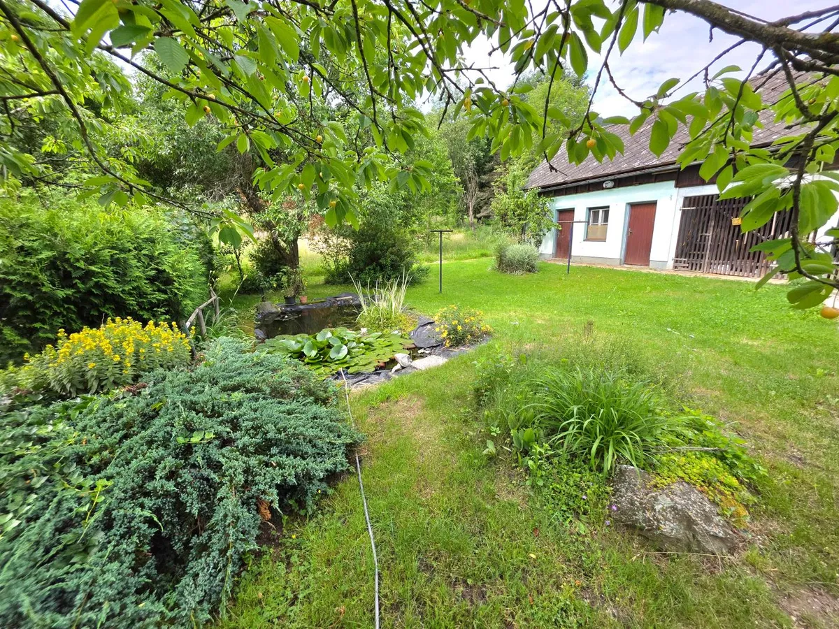 Naturoase mit großem Grundstück in Südkärnten! - Ansicht 2