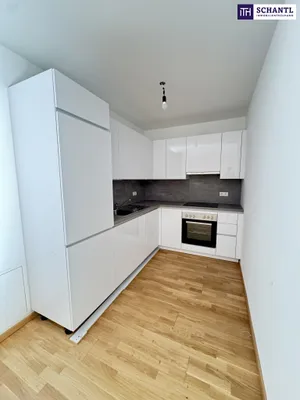 Großzügige 2-Zimmer-Wohnung mit luftiger Wohnküche und großem Balkon - frisch renoviert! – Bild 3