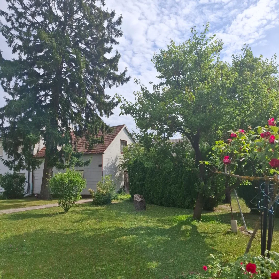 1226 m² Baugrund in Leopoldau nahe U1 - Widok 3